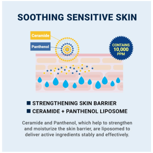 Derma B CeraMD Repair Cream 430ml