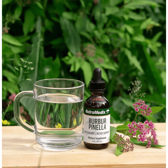 Nutramedix Burbur Pinella