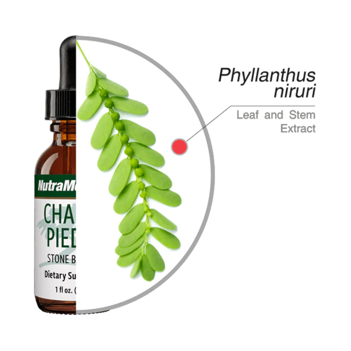 Nutramedix Chanca Piedra