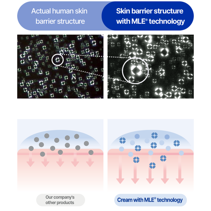 Real Barrier Extreme Cream 50ml