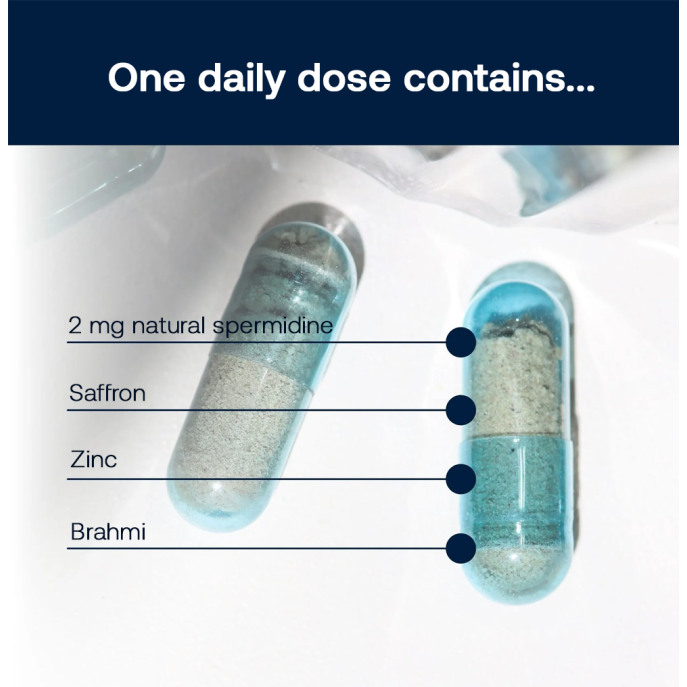 spermidineLIFE Memory+