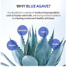 T'else Blue Agave Hyaluronic Acid Cream 50ml (2gb)